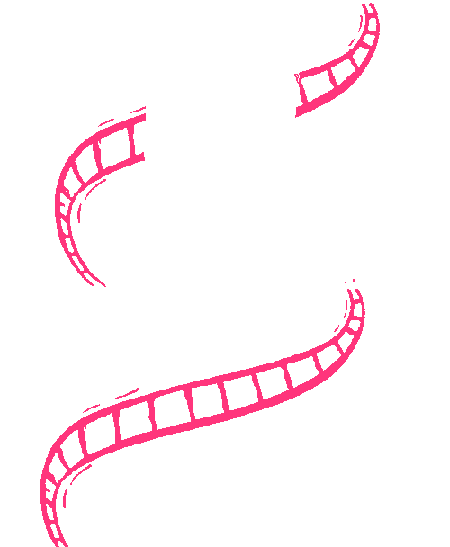 سید شایان مینایی