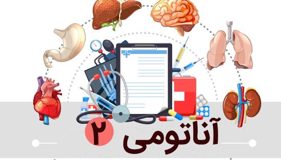 آناتومی دستگاه گوارش