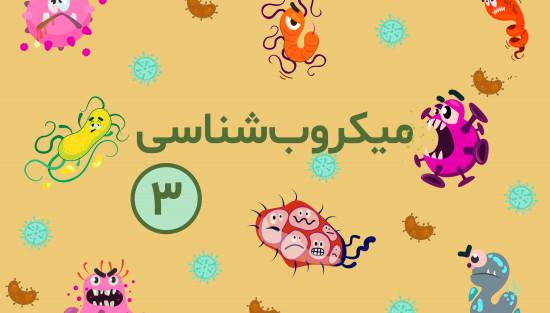 میکروب های باسیل گرم مثبت